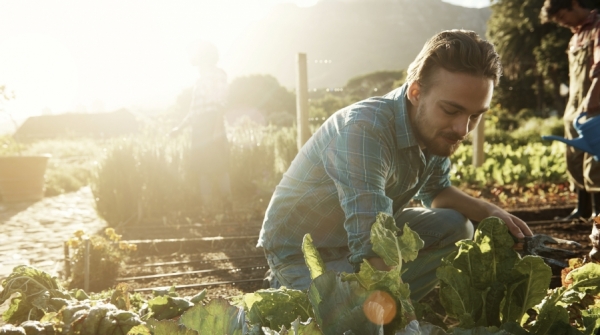Presentamos &lsquo;Somos nuestra tierra&rsquo;