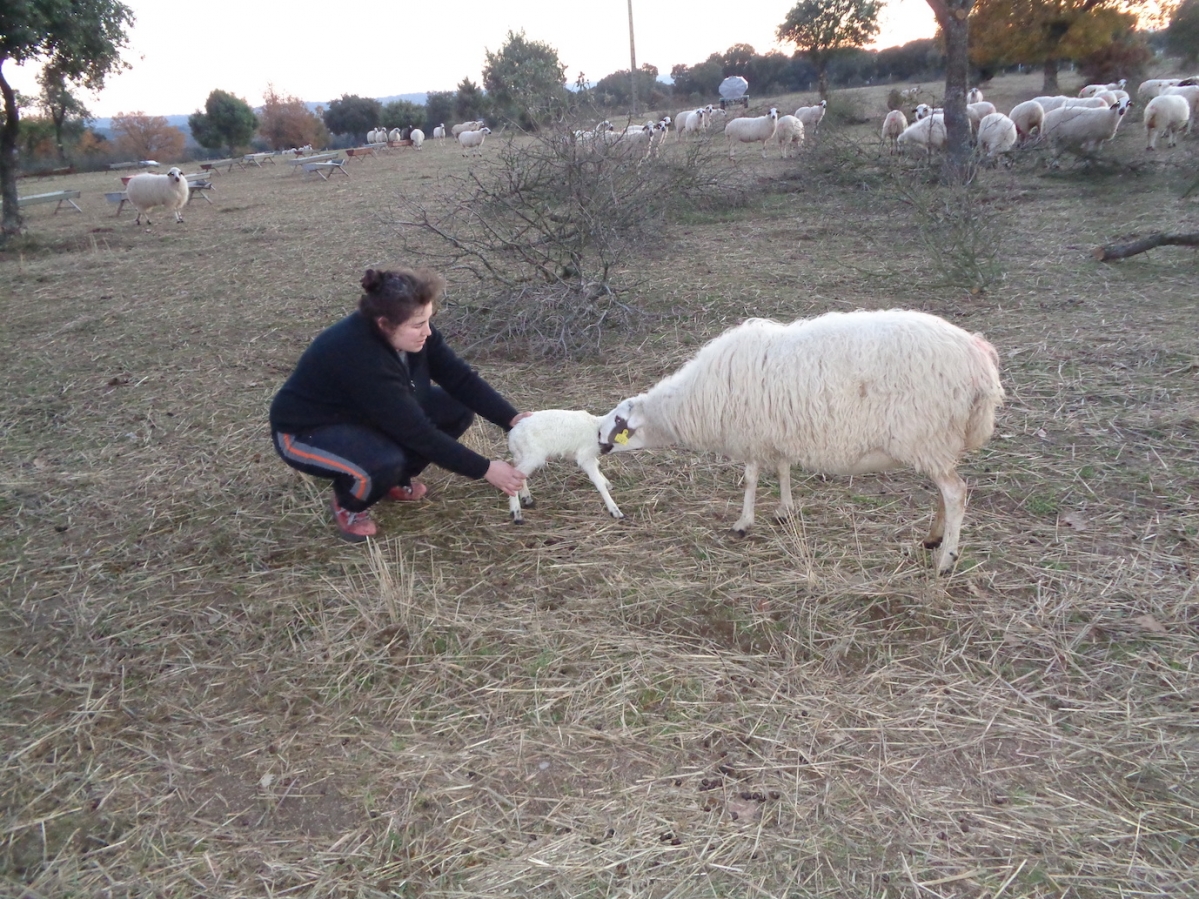 &Aacute;ngeles Santos: &ldquo;Prefiero tener menos dinero y m&aacute;s vida&rdquo;
