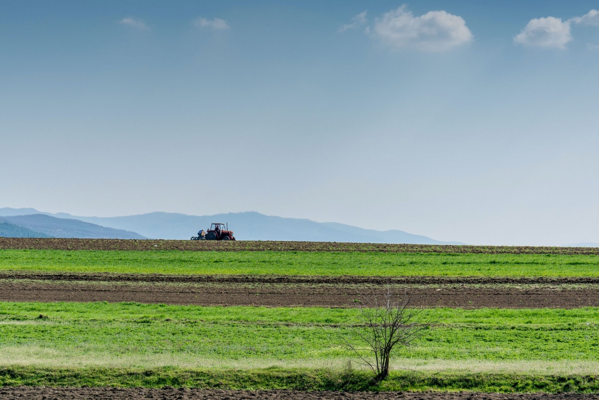 &iquest;C&oacute;mo se aprende a ser agricultor en el siglo XXI?