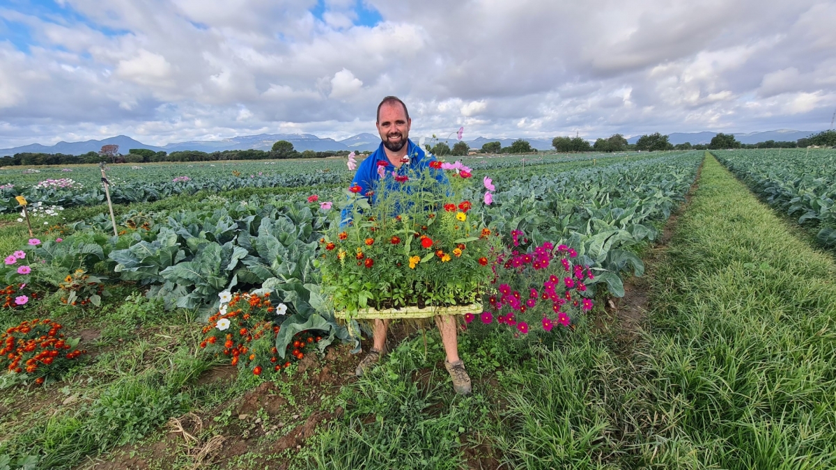 C&oacute;mo convertir una plaga de pulg&oacute;n en una gran oportunidad para diferenciarte