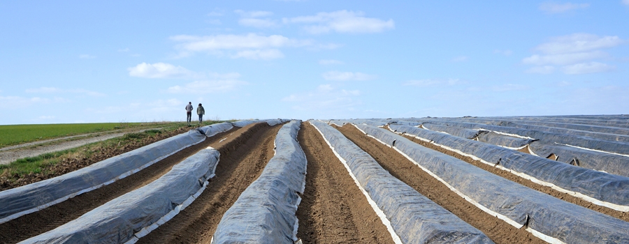 Bolet&iacute;n informativo 2024: Soy joven y quiero trabajar en el campo, &iquest;de qu&eacute; ayudas dispongo?